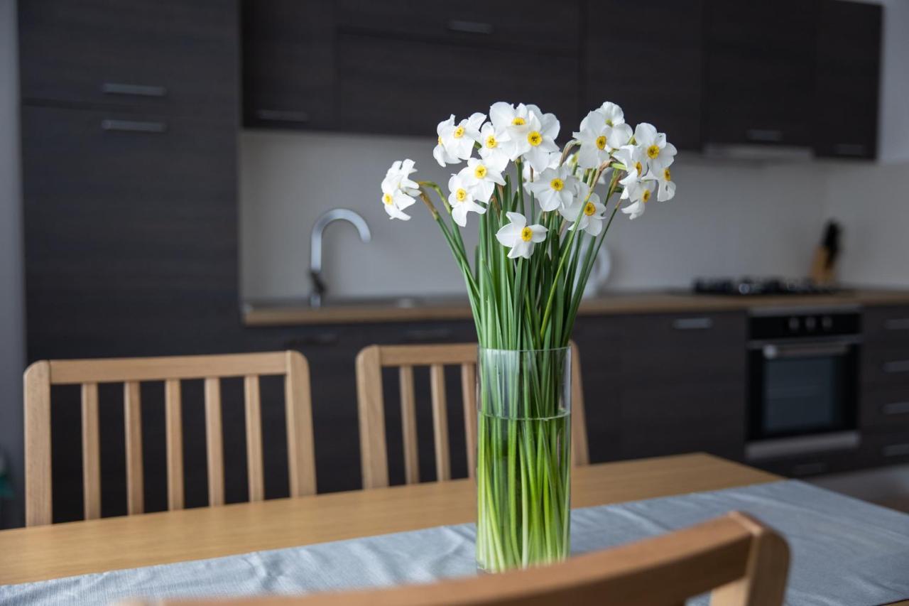 Apartman Ena Bjelovar Extérieur photo