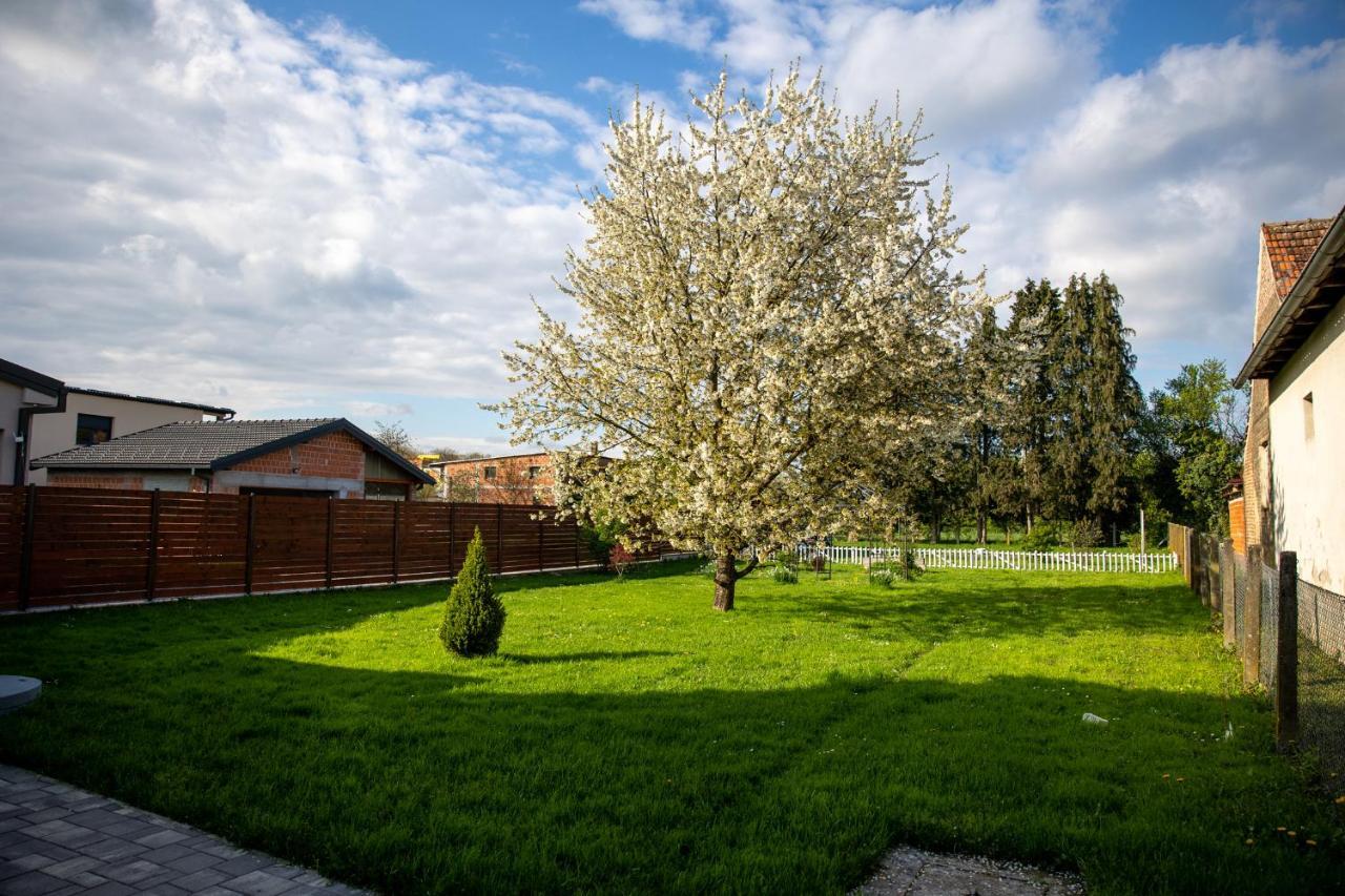 Apartman Ena Bjelovar Extérieur photo